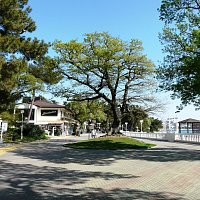 ЖК Изумрудный город - Геленджик - Набережная